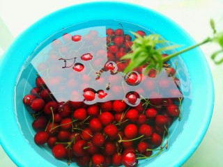 自制樱桃果酱%,先把樱桃洗净，放到盐水泡5分钟。