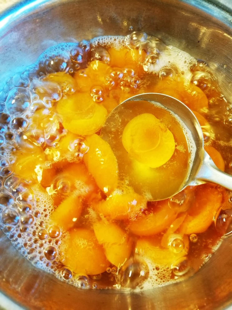 冰糖杏罐头做法,把冰糖熬化，大约煮15分钟，把鲜杏煮软烂