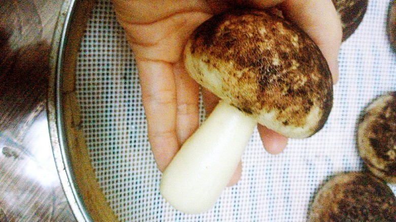 蘑菇包+#面团发酵之旅#,在蘑菇头底部用筷子扎出洞眼，把蒸好的蘑菇把插进去就完成啦，👏👏👏👏👏👏👏👏