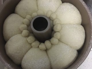 龙猫挤挤面包,耳朵放在发酵好的面团上并撒上一层干粉