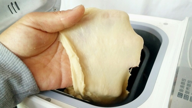 中种奶油吐司#面团的发酵之旅#,揉面40分钟结束之后面团拉出韧性薄膜。