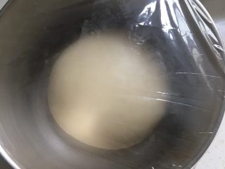 超软酸奶小餐包,揉圆放盆中，盖上保鲜膜发酵