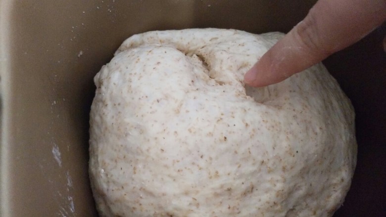 牛油果金枪鱼蟹柳芝士面包,第一次发酵结束