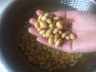 自制爽滑豆花,黄豆泡到明显变大，看上去很饱满的状态，

冬天的延长浸泡时间或者用温水泡。