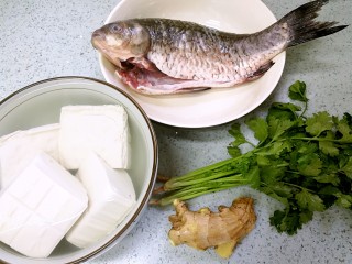 豆腐鲫鱼汤,准备好材料。