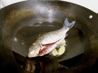 豆腐鲫鱼汤,倒入食油，鲫鱼滤干表面水分，摆入锅中，小火煎制。