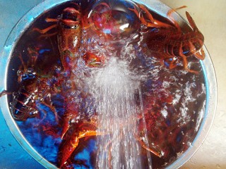 蒜香小龙虾,小龙虾买回来放水里养一个小时，让它吐出脏东西。