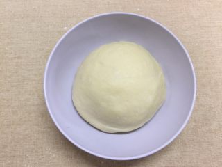 帕帕罗蒂面包，那记忆中的味道,取出面团揉圆，放入干净干爽的容器内，盖保鲜膜准备第一次发酵