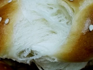 辫子面包(一发),组织细节图。