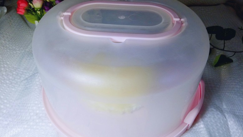 芒果千层蛋糕,放入蛋糕盒中，冰箱冷藏。如果没有蛋糕盒子，可以取一块大盘子，或者有盖子的器具。