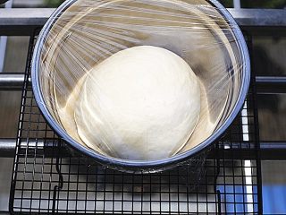 蔓越莓椰蓉小面包,盖保鲜膜，进行第一次发酵 （一发的最佳发酵温度是26-28度，湿度是75%左右）