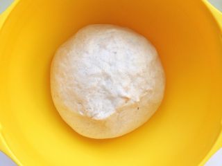 黑麦面包（海绵酵头）,取出面团放进抹油的大碗中，盖好保鲜膜发酵至二到三倍大。