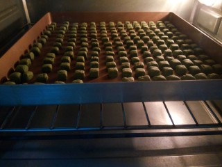 抹茶豆豆,在烤制中，