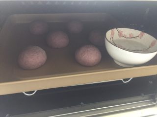 黑岩豆豆面包,放入烤箱35度发酵30分。放碗热水