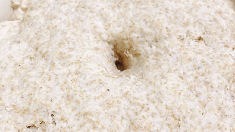 高纤全麦馒头,放在温暖湿润处发酵1小时左右，发酵至1-1.5倍大
