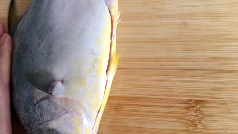 香煎金鲳鱼,鱼处理：
1）拿一条鱼在鱼肚子上刨开。