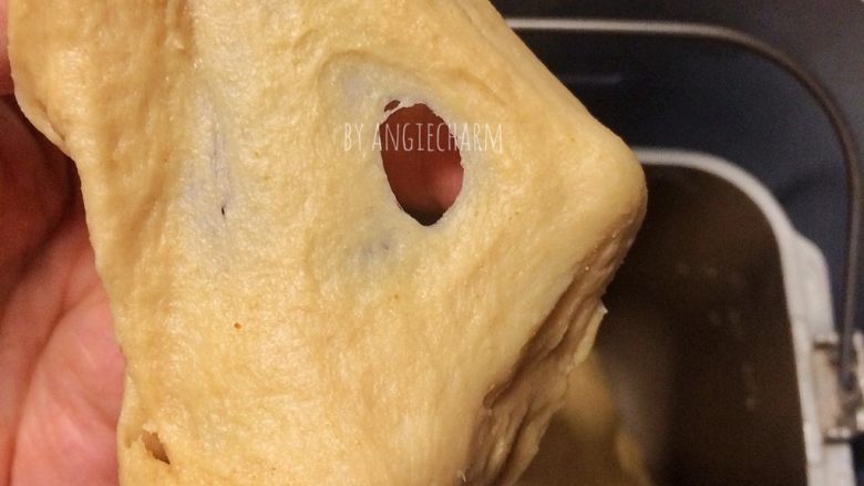 汤种炼乳黄豆粉面包,继续揉成光滑面团，切一小块面团能拉伸成有韧性的薄膜，破洞边缘光滑。