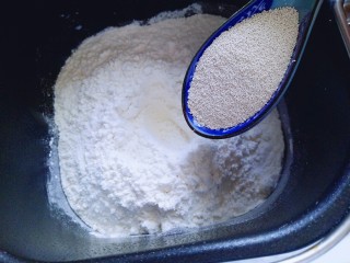 蜜豆小面包,加入高筋面粉，再面粉的顶端挖个小洞，(注意不要挖到液体) 然后把酵母粉倒入挖好的洞洞里。