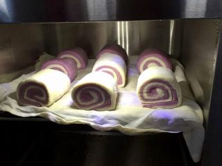 双色紫薯馒头,双色卷放进去搁置金属架上