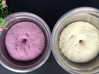 双色紫薯馒头,盖上保鲜膜室温发酵至2倍大，不回缩即可！现在夏季室温比较高，发酵快