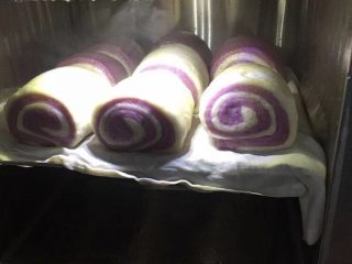 双色紫薯馒头,哇哦，一个个胖乎乎的双色紫薯卷太有食欲了