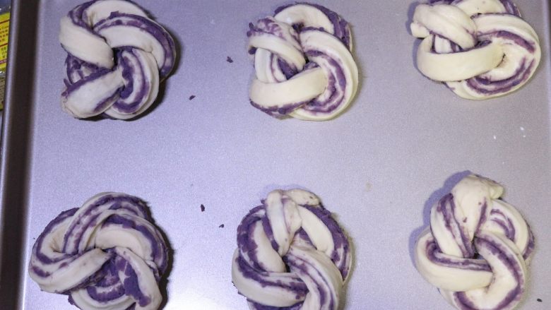 汤种紫薯花卷面包,全部整理好的面团放在烤盘上