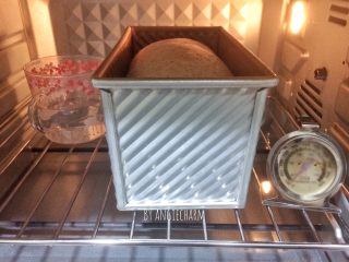 波兰种可可全麦面包,烤箱中放杯热水，二次发酵至9分满，盖模具盖子。