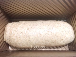 波兰种可可全麦面包,收口向下放进模具。