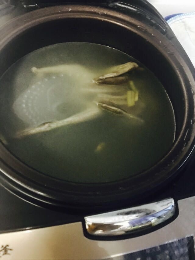 营养鸽子汤,放入电饭煲内，加水淹过鸽子，启动煲汤按钮，45min即好