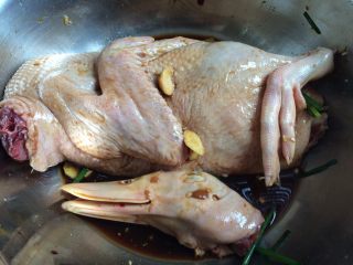 酱油全鸭-在家这样做,给鸭子做个按摩，上好料让鸭子继续泡酱油浴，腌一到两个小时