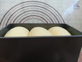 酸奶吐司（波兰种）,吐司面团发到土司盒的9分满取出，同时预热烤箱上火120度，下火170度