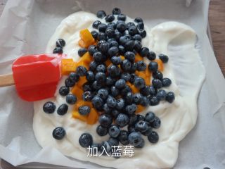酸奶水果薄脆 Yogurt fruits Bar ,蓝莓