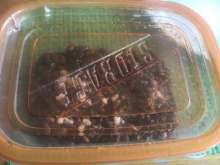 自制蜜红豆,密封起来放冰箱腌制冷藏过夜