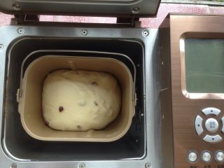 蔓越莓奶酪面包,面团和好后，室温发酵50分钟左右，发酵两倍大，如果室温低的话就用面包机的发酵功能。