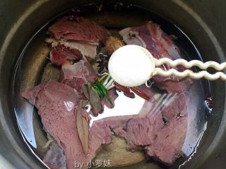 麻辣牛肉丝,锅中放入清水，以上佐料放入锅中，加一勺盐