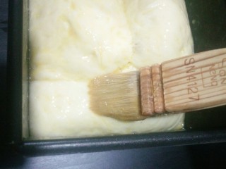 奶香土司,发酵好的面团，表面涂抹全蛋液。