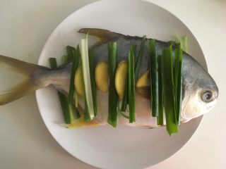 清蒸鱼,鱼身上也放上葱段和姜片