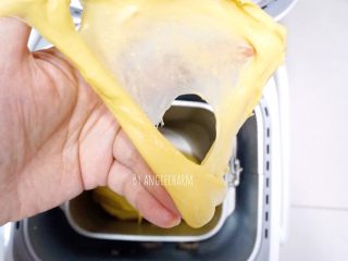 中种南瓜吐司面包,慢慢抻开，拉出坚韧透明的薄膜，破洞边缘光滑，就达到完全阶段了。把取出的小面团重新和大面团揉合。