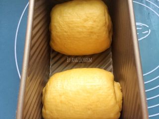 中种南瓜吐司面包,两个面团分别放在模具的两端。