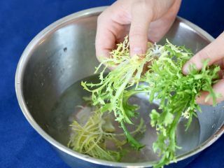 明虾沙拉,芝麻菜 菊苣放到冰水中浸泡变脆
