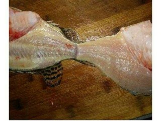松鼠桂鱼,桂鱼洗净 ，去头鱼尾不要切断 ，去骨鱼肉和尾剞，十字花刀腌制