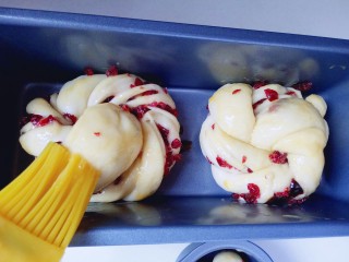 蔓越莓面包,发至两倍大左右就可以，刷一层蛋液，烤箱170度预热5分钟，磨具放入烤箱的烤网上烤30-35分钟，注意观察颜色，根据自家烤箱温度另定。