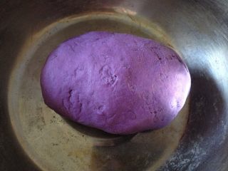 紫薯開花饅頭,和成光滑的面團后，蓋上保鮮膜醒制15分鐘
