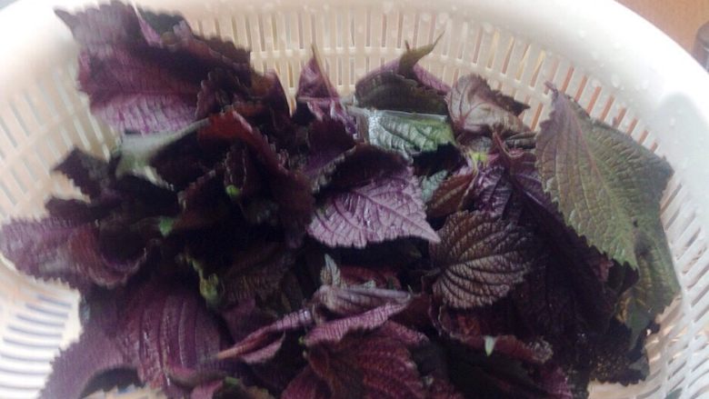 紫蘇葉天婦羅,盡量挑大片的，小片的可以做蛋捲或烘蛋別浪費，淡雅的紫蘇葉開胃又健康