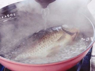 奶白鲫鱼豆腐汤,倒出多余的油，加适量热水。放入姜片，大火煮开后转中火炖10分钟。必须是热水，水还要一直保持沸腾的状态。
