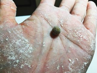 台灣經典道地「黑糖珍珠」,手沾先樹薯粉將步驟11的小塊狀，像搓湯圓般的搓圓（可以不必搓到非常圓啦！）