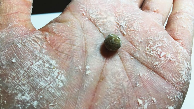 台灣經典道地「黑糖珍珠」,手沾先樹薯粉將步驟11的小塊狀，像搓湯圓般的搓圓（可以不必搓到非常圓啦！）