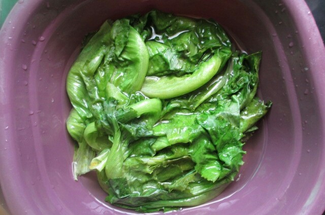 耗油蒜蓉淋生菜,然后放入凉水里，增加生菜爽脆度