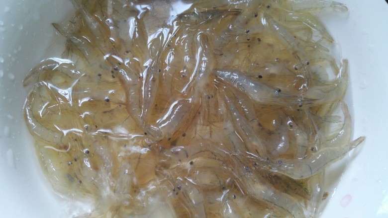 盐水虾,把虾放进水里清洗一下