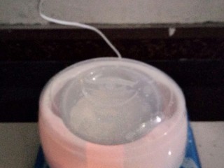 自制老酸奶,盖好盖子，插电，发酵8-12小时